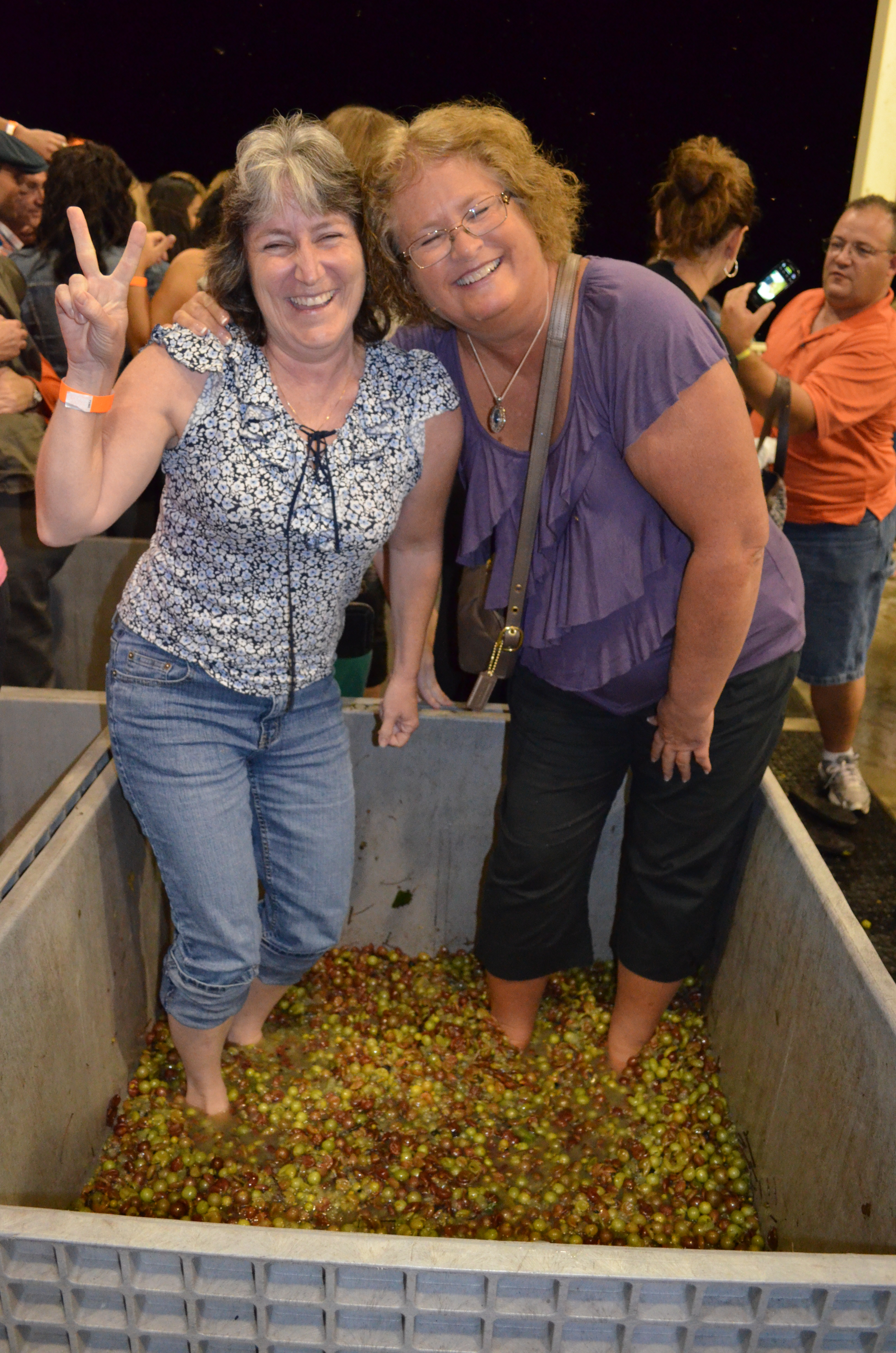 ./2012/Grape Stomp/VDSC_0239.JPG